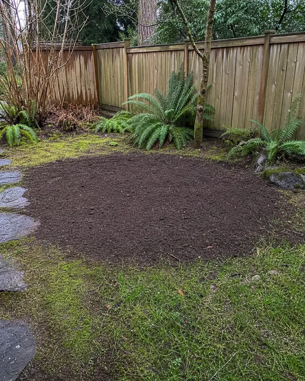 Example finished yard area after stump grinding and cleanup