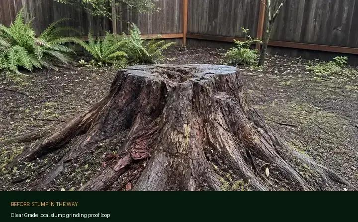 Stump grinder working in a residential yard