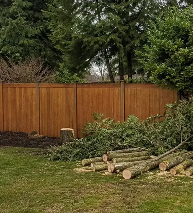 Small tree removal by Clear Grade for a residential yard
